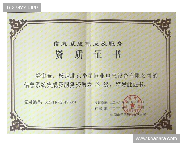 2024年lt官网入口最新入口地址及登录流程详细解析，帮助用户轻松访问lt官网入口