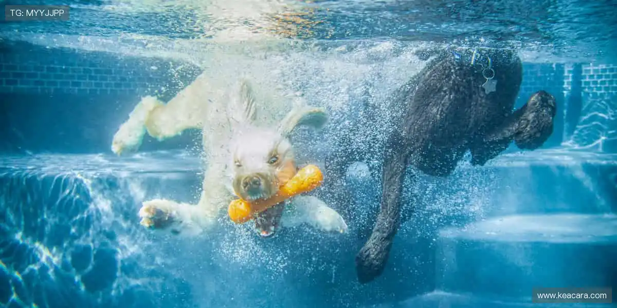 游戏核心升级阵地：专业高清每局真人，相伴巅峰时刻